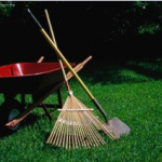 Landscaping Tips To Get Your Yard Summer Ready