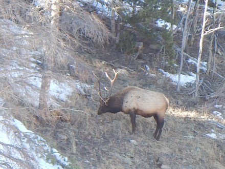 estes-park_440x330