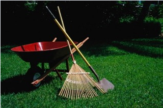 Landscaping Tips To Get Your Yard Summer Ready