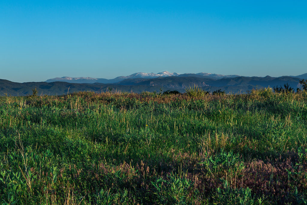 Douglas County Colorado